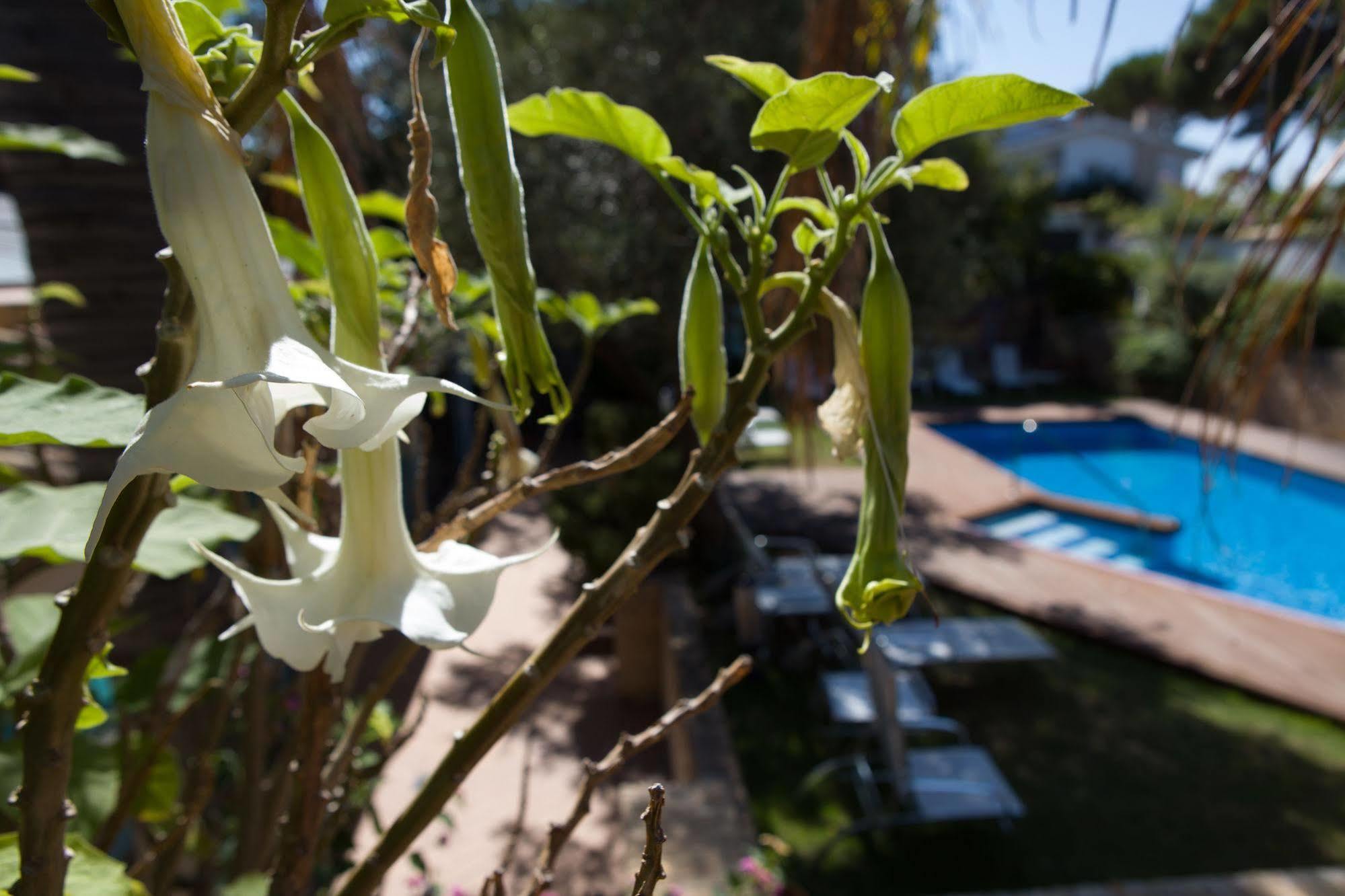 Soho Boutique Vistahermosa Hotel